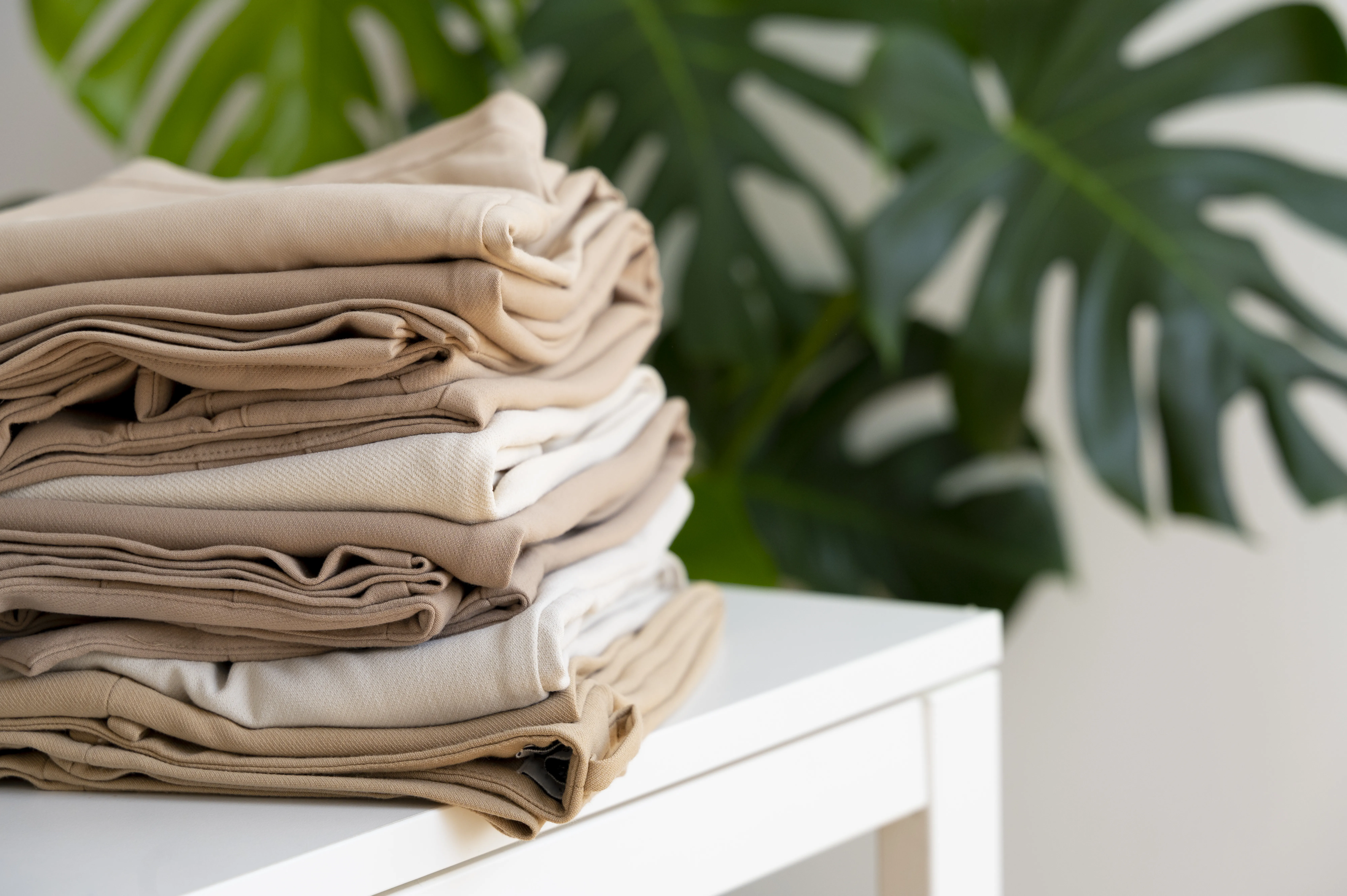 Botani Laundry Banner